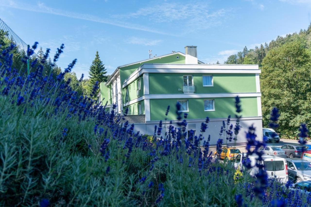 Wellness Hotel Green Paradise Pirkenhammer Buitenkant foto